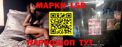 крисы Ставрополь