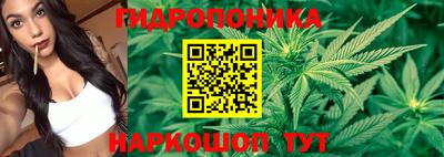 крисы Ставрополь