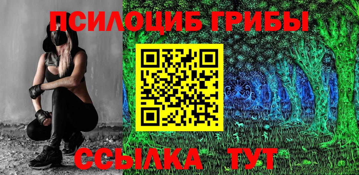 Галлюциногенные грибы Psilocybe  Вход с VPN  сколько стоит  Новотроицк 