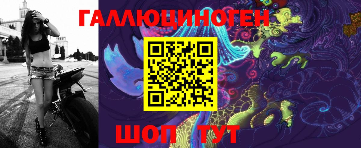 Псилоцибиновые грибы Psilocybine cubensis Новотроицк